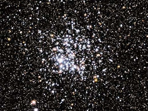 M11 (Messier 11, NGC 6705, Gromada Dzika Kaczka)