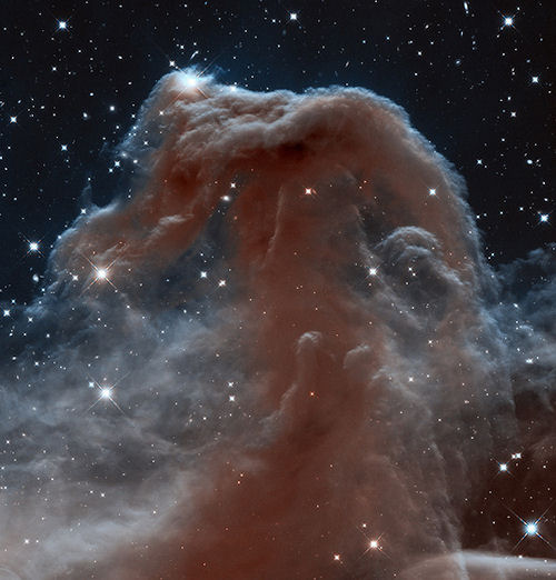 Mgławica Koński Łeb na rocznicę Hubble'a
