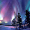 Zorze polarne 2012 będą najpiękniejsze od 50 lat. Dokąd i kiedy pojechać?