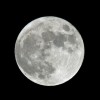 Nazwy pełni Księżyca w 2008 roku - Astronomia