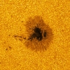 Dwie duże plamy na Słońcu - Astronomia