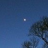 Wenus w maksymalnej elongacji wschodniej - 14/15 stycznia 2009r.