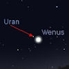 Złączenie Wenus z Uranem 